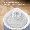 Quiet Circulating Pet Water Fountain, USB-Powered 2500ML Dispenser with Night Light & Visible Scale, White